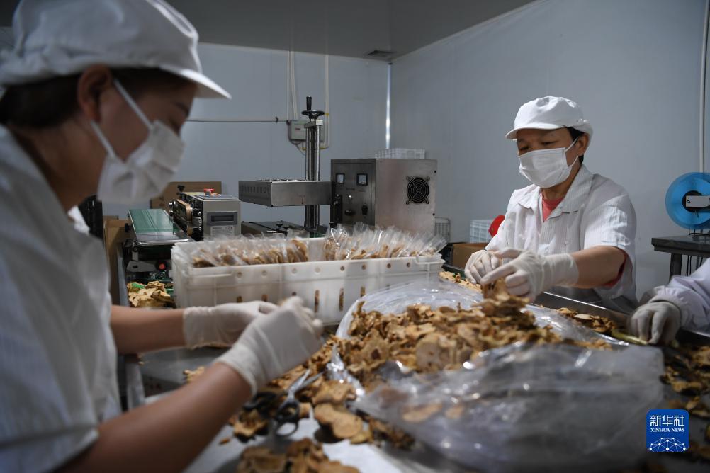 庄闲稳赢100元方法